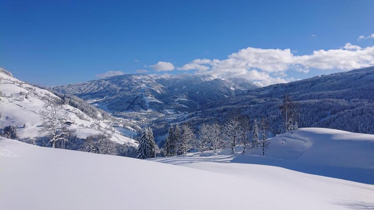 Апартаменти Lindbichlhof Urlaub Am Bio Bauernhof Санкт-Йоганн-ім-Понгау Екстер'єр фото