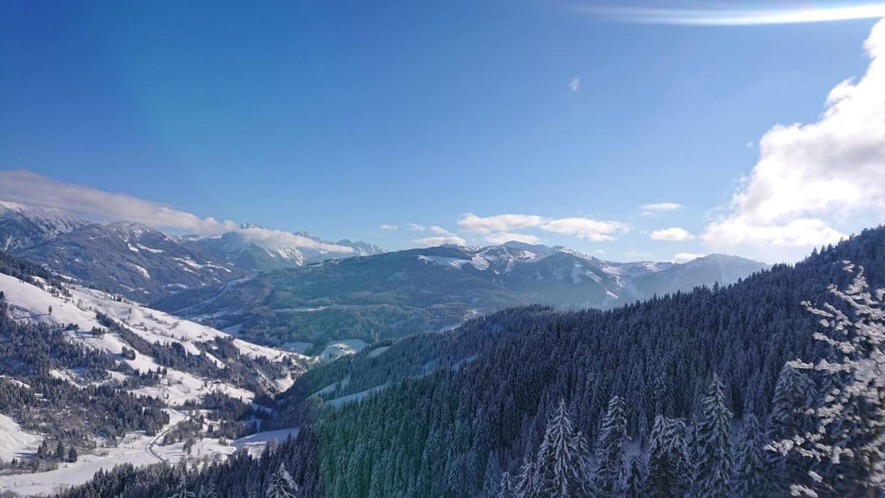 Апартаменти Lindbichlhof Urlaub Am Bio Bauernhof Санкт-Йоганн-ім-Понгау Екстер'єр фото