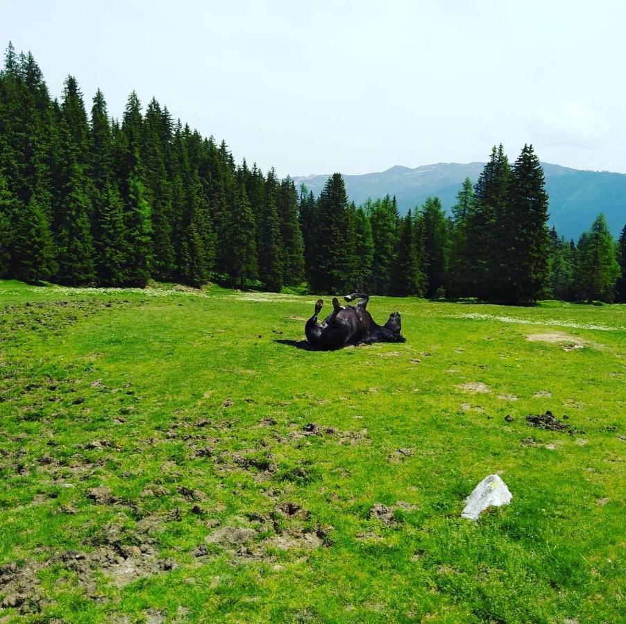 Апартаменти Lindbichlhof Urlaub Am Bio Bauernhof Санкт-Йоганн-ім-Понгау Екстер'єр фото