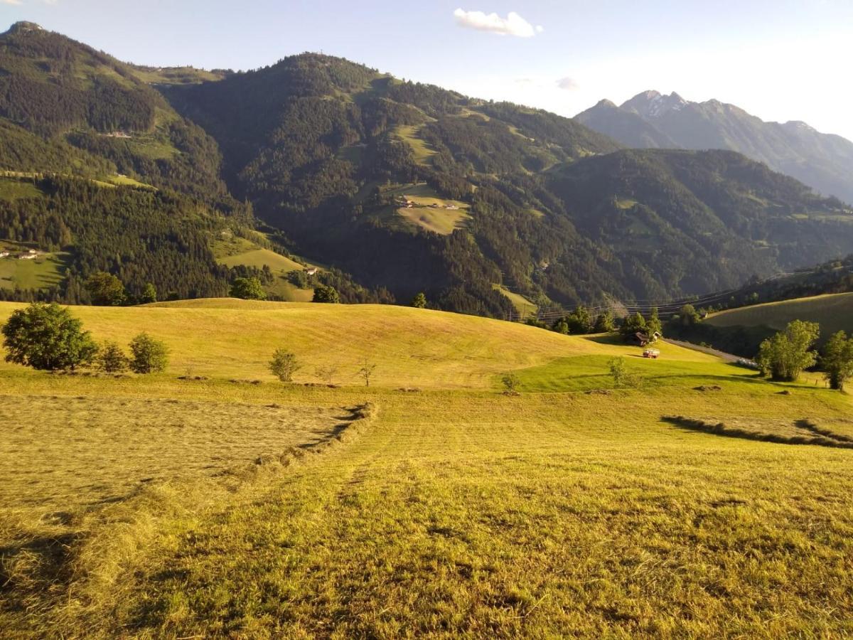 Апартаменти Lindbichlhof Urlaub Am Bio Bauernhof Санкт-Йоганн-ім-Понгау Екстер'єр фото
