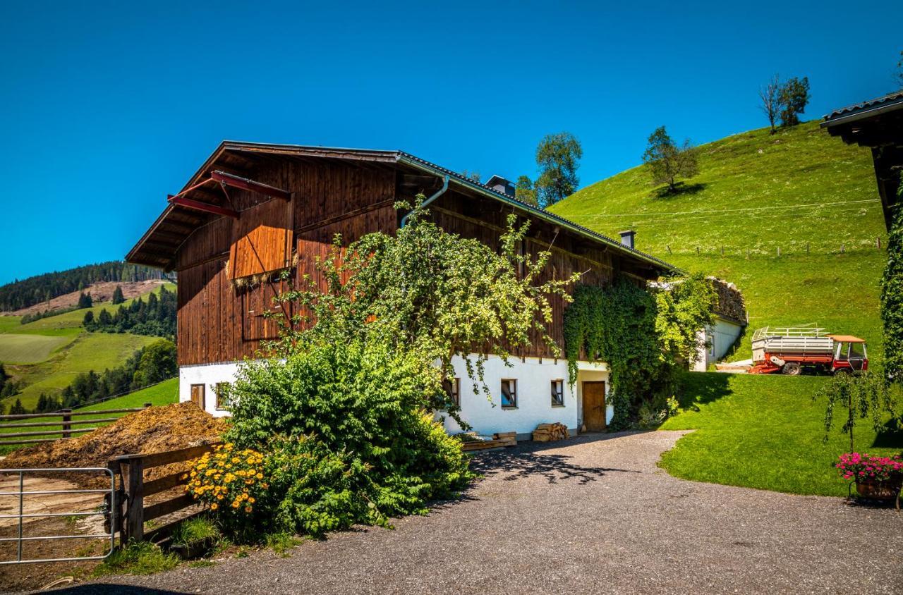 Апартаменти Lindbichlhof Urlaub Am Bio Bauernhof Санкт-Йоганн-ім-Понгау Екстер'єр фото