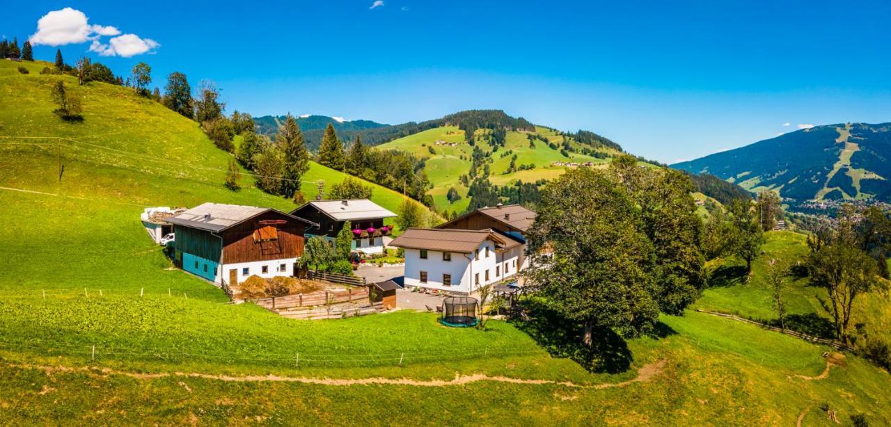 Апартаменти Lindbichlhof Urlaub Am Bio Bauernhof Санкт-Йоганн-ім-Понгау Екстер'єр фото