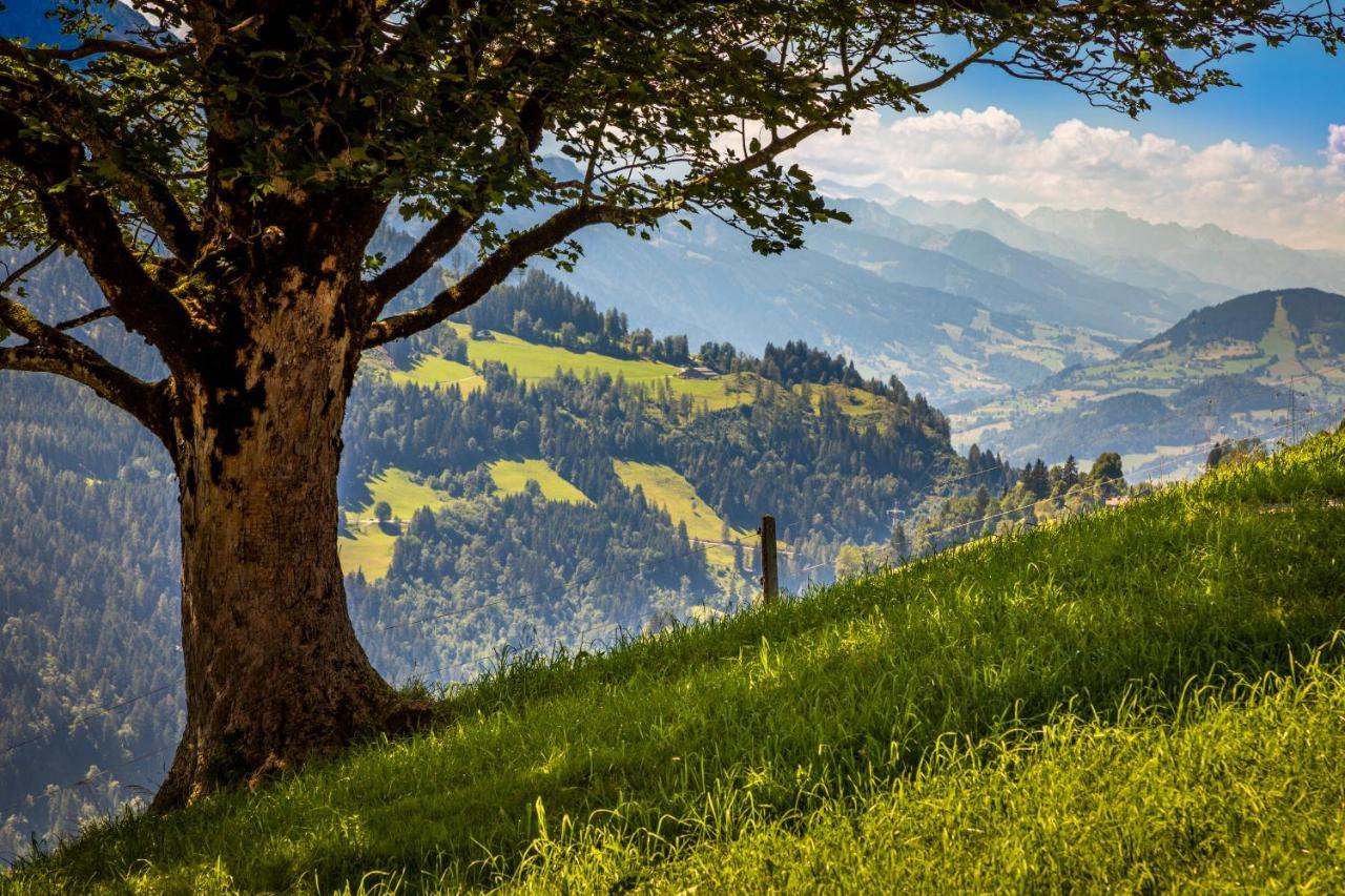 Апартаменти Lindbichlhof Urlaub Am Bio Bauernhof Санкт-Йоганн-ім-Понгау Екстер'єр фото